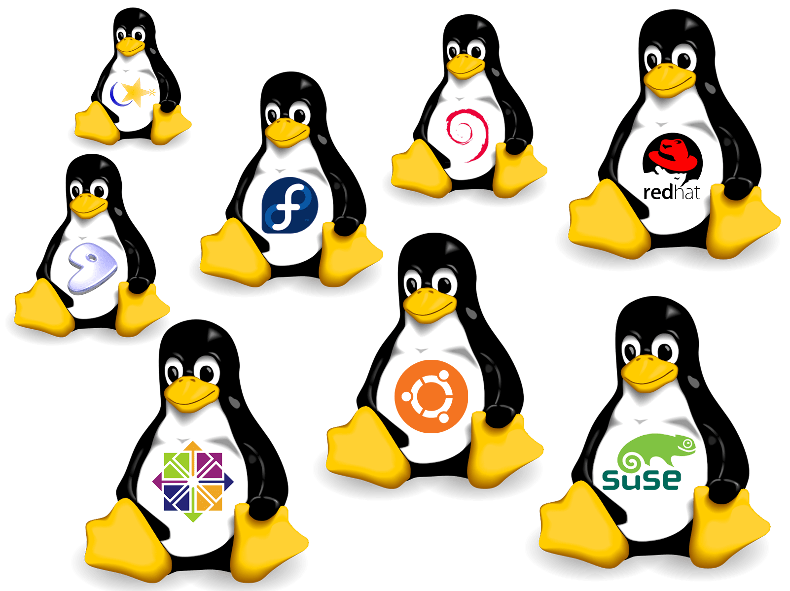 Функциональные возможности ос linux